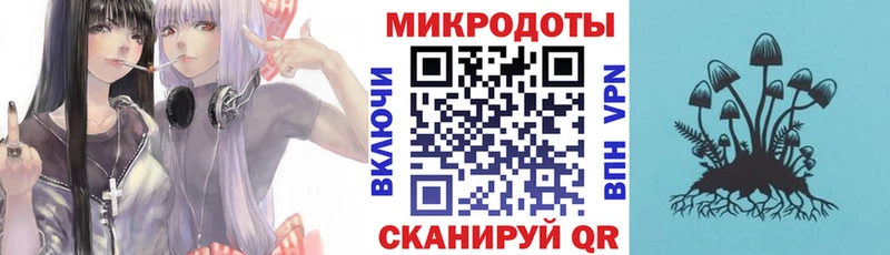 гидра онион  Краснознаменск  Псилоцибиновые грибы MAGIC MUSHROOMS 